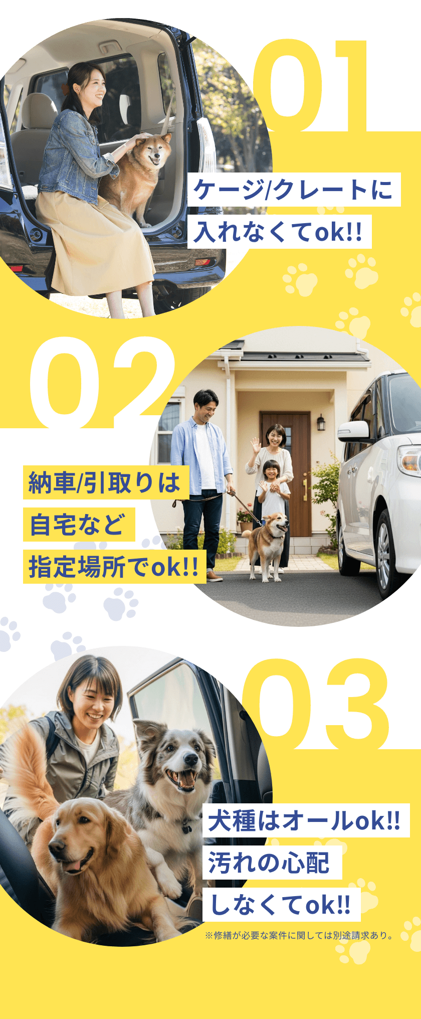 愛犬と一緒に旅にでよう ペット可のレンタカーサービス